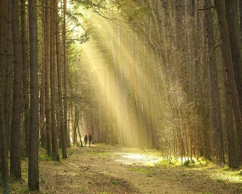 Active mature man brisk walking on a park trail in Santiago Chile during the morning