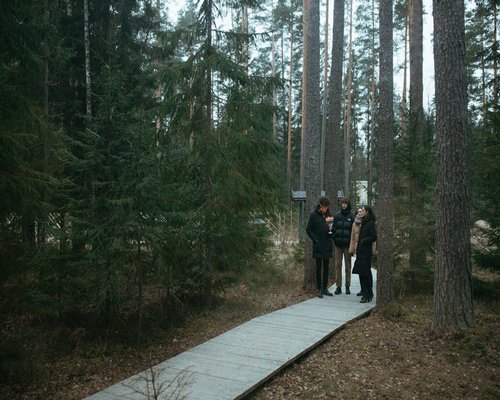 Group of senior men walking together outdoors in a forest in southern Chile